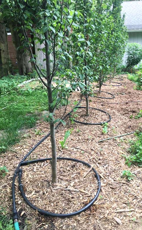 Otomatik Sulama Sistemi