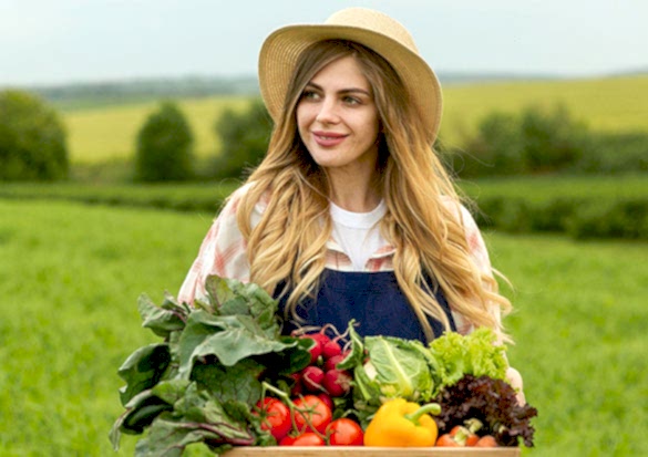 Tuana Peyzaj Konya Tuana Peyzaj Konya